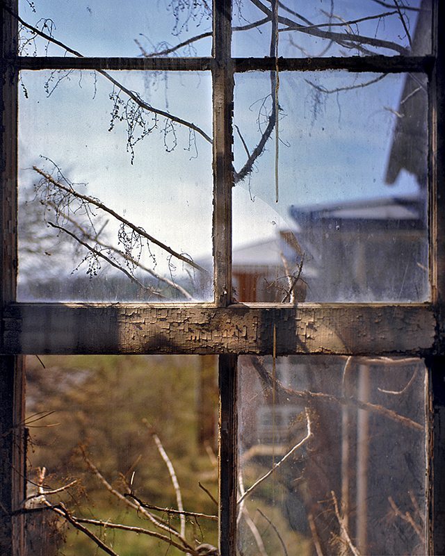 birdclaws:  Tapping at the window. Pentax 6x7 // Ektar