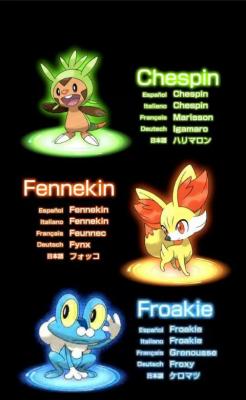 cabout:  be-yourself-not-them:  3 New Gen VI Stearters.  I AM SO DONE WITH THE FRENCH NAMES  If these really are the starters, I will definitely take the fire one this time. While hoping these games are available for the normal DS, that is&hellip; Fuck