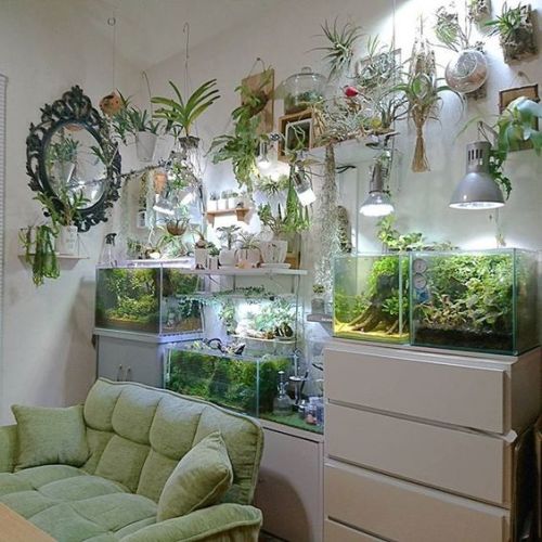 splendid-splendens:I just let out an audible gasp, this is goals