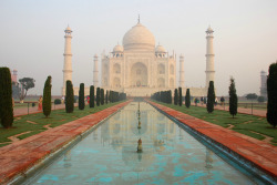 expressions-of-nature:  Taj Mahal by Larry He