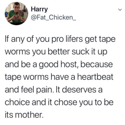 skull-bearer:headspace-hotel:Not to be That Person, but tapeworms don’t have circulatory systems at 