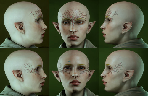 becausedragonage:  becausedragonage:  hey-lavellan:  I don’t know if this has already been done but I’ve seen several people in the last couple of days asking around for a good reference of all the vallaslin in the game so I put this together. All