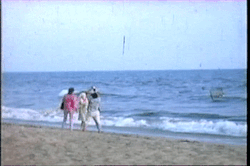 marilynmonroevideoarchives:   The last known footage of Marilyn Monroe taken by a tourist that come across George Barris taking photos of Marilyn on Santa Monica beach July 1962 