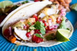 fattributes:  Margarita-Glazed Fish Tacos