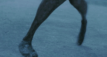 catallenas:   kuueater:  doitsundere:  lionessjenna:  doitsundere:    sure little guy         nO 