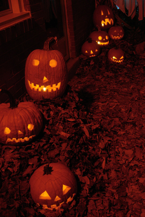 pumpkinrothalloween:  Spread leaves on your porch and on the walk in front of your house on Hallowee