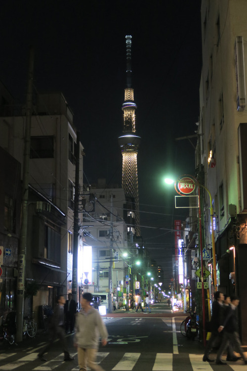 ninetail-fox: a street ,Kinshicho