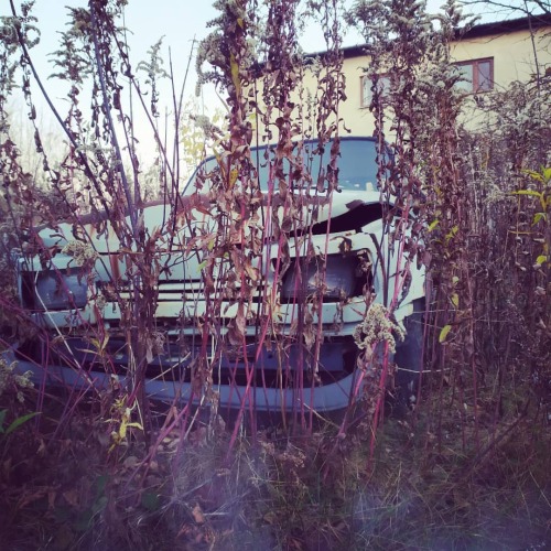 Najochydniejszy widok w mieście #wartburg #abandonedcar #classiccars #youngtimer #wreckage #łomianki