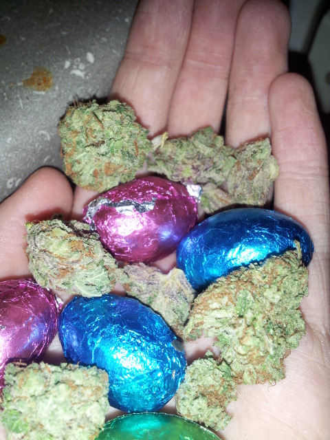 Weed LTD