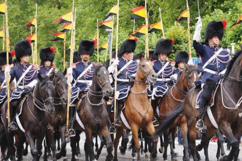 the royal mounted escort of belgium