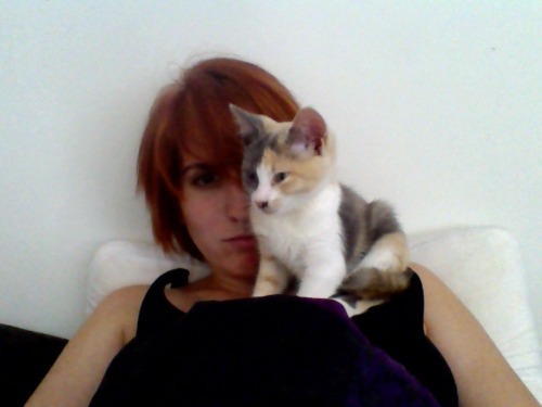Let&rsquo;s talk about how I was getting things accomplished, then  Suddenly kitten