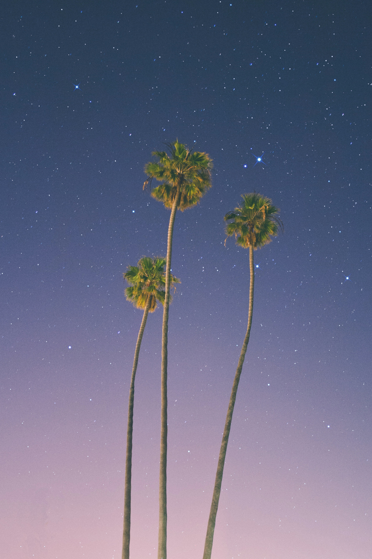 thecraziethewizard:  by Jeremiah Probodanu