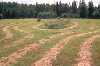 bedsmells:  combustiblechole:  missvoltairine:  phil-irish-artist:  By copyrighting his property as an artwork, he has prevented oil companies from drilling on it. Peter Von Tiesenhausen has developed artworks all over his property in northern Alberta. 