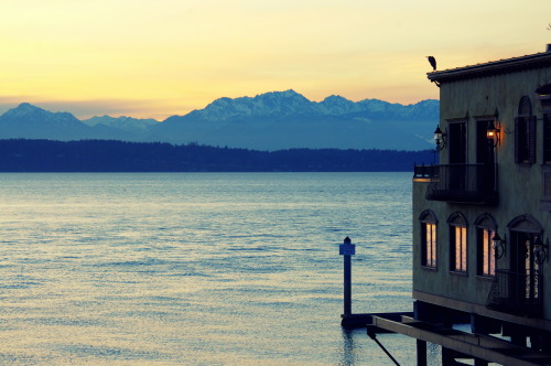 simonthollotphotography:The Olympic Mountains & The Puget Sound, seen from SeattleSeattle, WA, USA - 2013