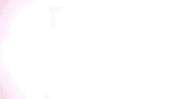 ◕ ◡ ◕