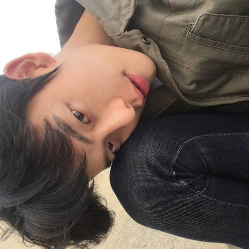 agonyinthegray:upside down 