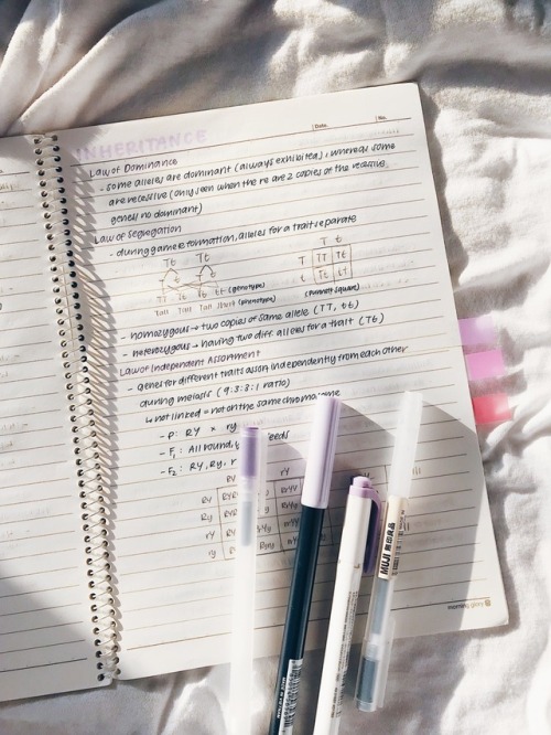 oikawastudies:bio notes + recent adventures