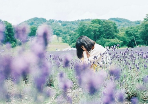 ・ ・ 標高1300mでもすぐ溶けるソフトクリームを食す。 ちなみにラベンダー味。 ・ ・ ・ ・ #filmphotography #filmcamera #filmphoto  #instagra