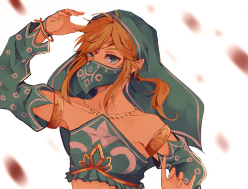 tsuyonpu:  I hope y’all saw that picture of Link rocking that Gerudo outfit.