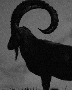 vile-lithium3:
