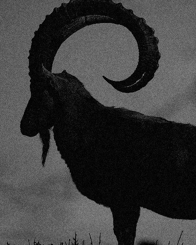 vile-lithium3: