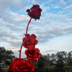 Incredible #roses #sculpture in #citypark #nola #NewOrleans #rose