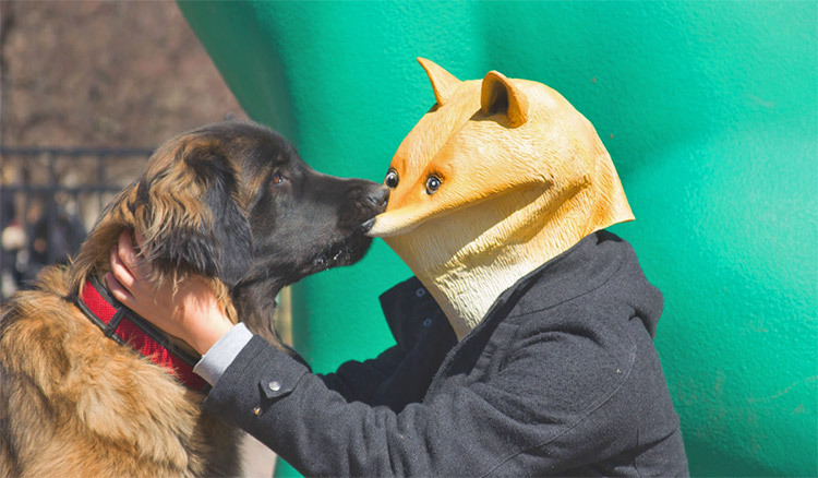 odditymall:    Doge Mask, Much Cool, So Wow!http://odditymall.com/doge-mask