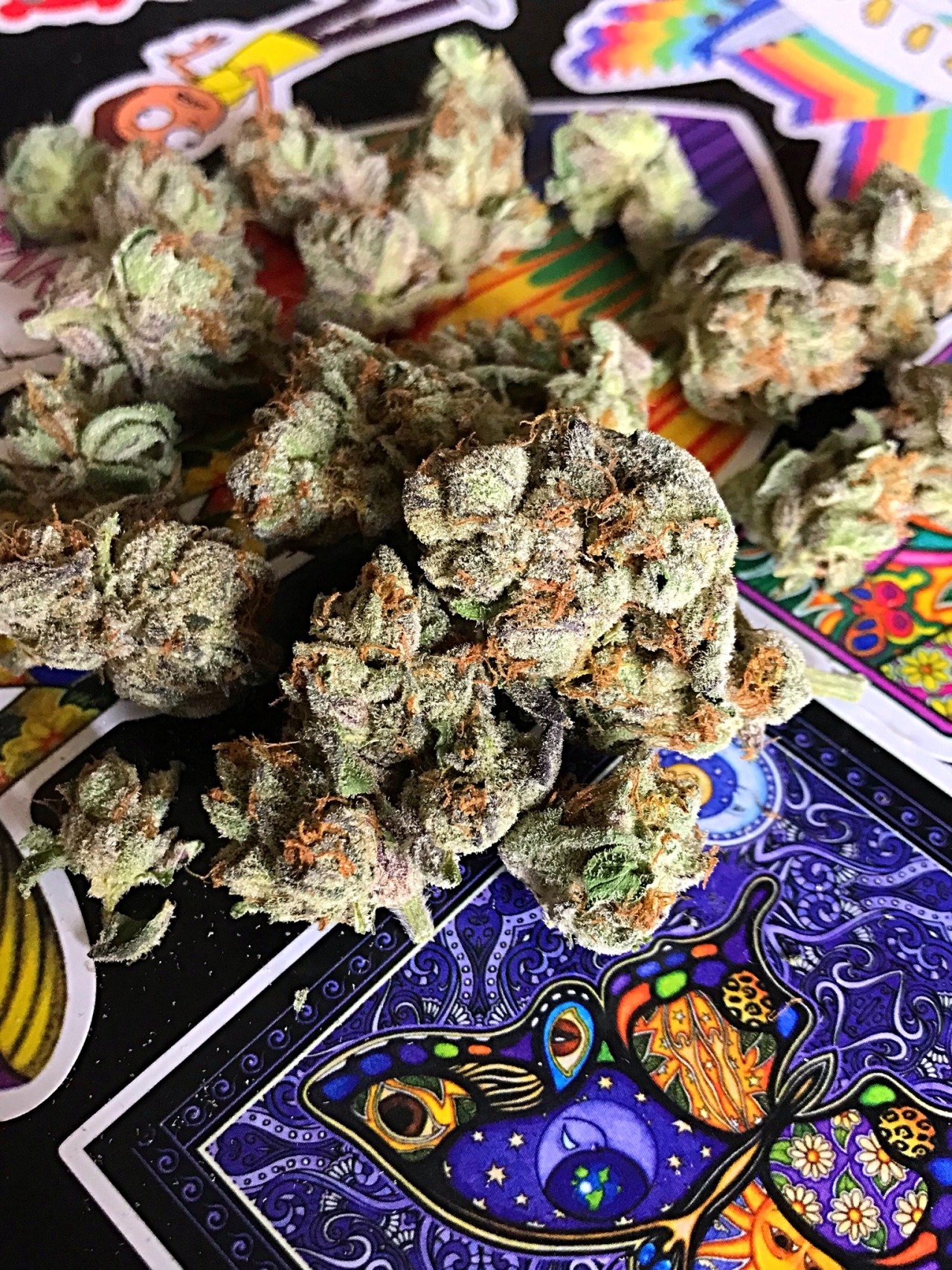 lost-in-dimensional-space:Silver Muff - 23.7% THC