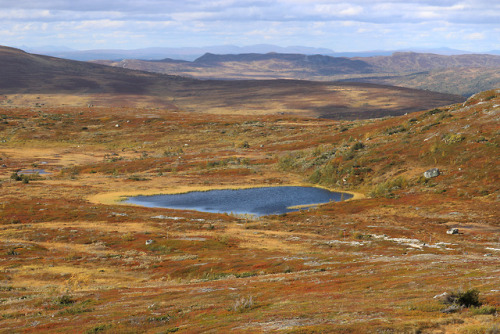 Enjoying the view from Välliste in Jämtland, Sweden.