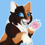 nickelbag610-blog