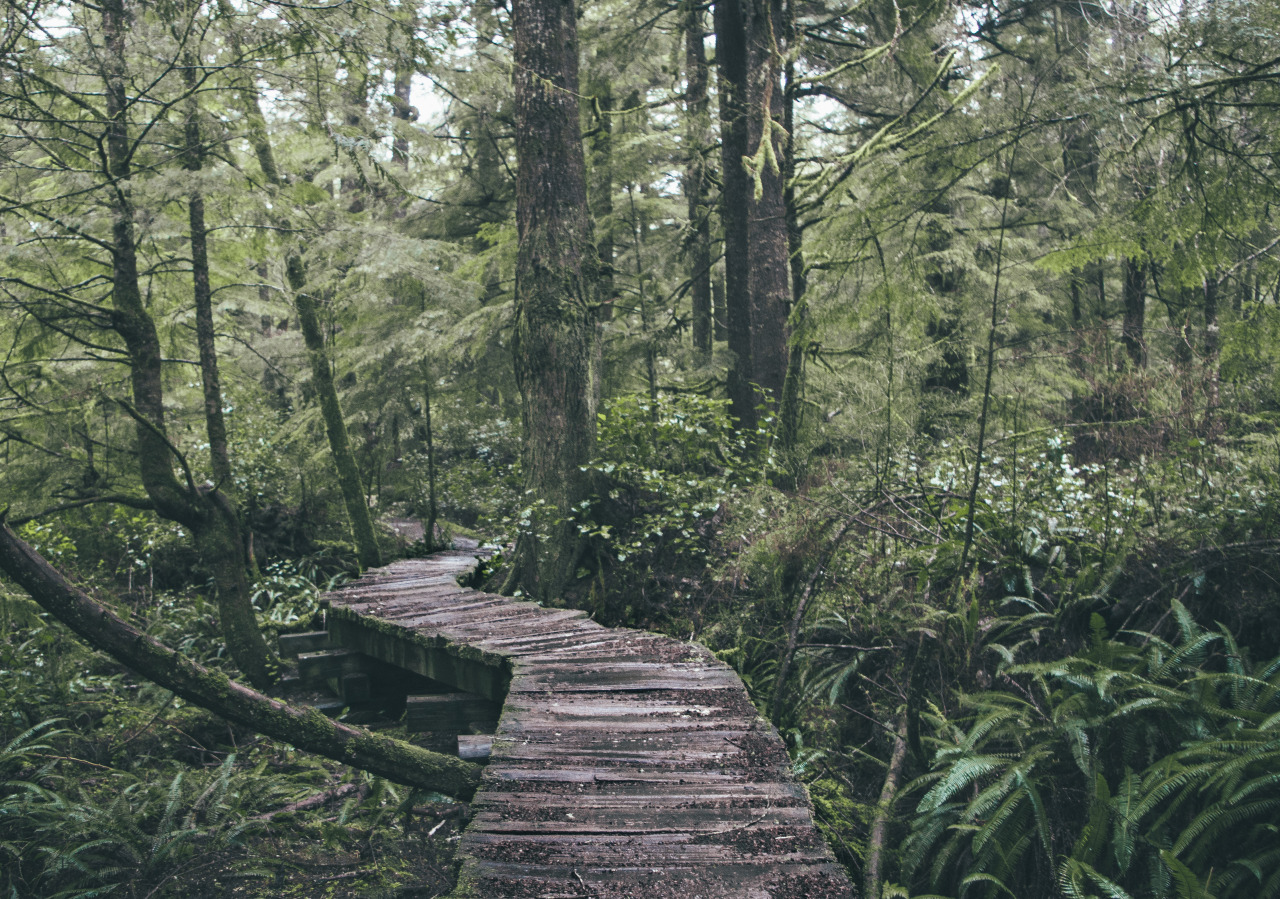 missbluespruce: Finding the end of the road
