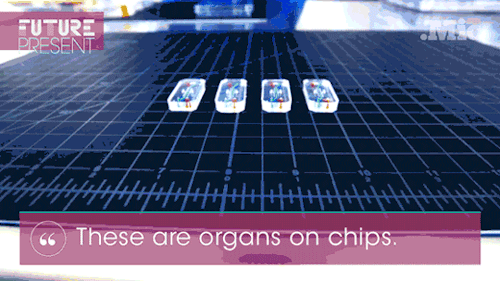 acti-veg:micdotcom:Watch: These tiny “organ” chips could end animal testing forever This is great ne