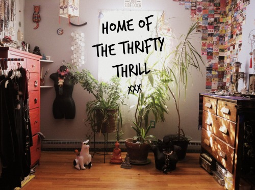 thethriftythrill:  “Collect things you love, that are authentic to you, and your home becomes your story" —Designer Erin Flett Here’s a few tips on how to achieve The Thrifty Thrill aesthetic: Step 1 – Collect everything; shells, stones,