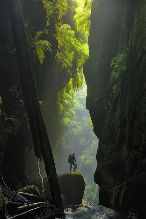 wonderous-world:Claustral Canyon, New South Wales, Australia by Carsten Peter
