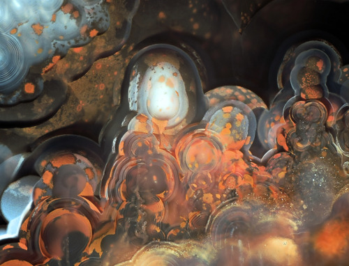 themineralogist: (via Chalcedony (Var: Agate) from Czech Republic)