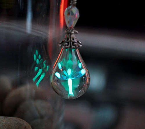 wickedclothes: Glow In The Dark Dragonfly Necklace Inside of this glass bubble is a tiny dragonfly,