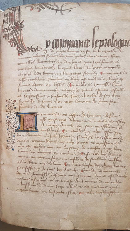Ms. Codex 910 - DecameronThis manuscript is a French translation, by the humanist Laurent de Premier