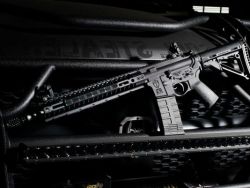 gunsknivesgear:  Spikes Tactical Crusader Rifle.Disgusted by the calls for “gun control” following the terror attack in San Bernardino.  The terrorists are not going to meekly give up their arms because of some stupid law. France has some of the