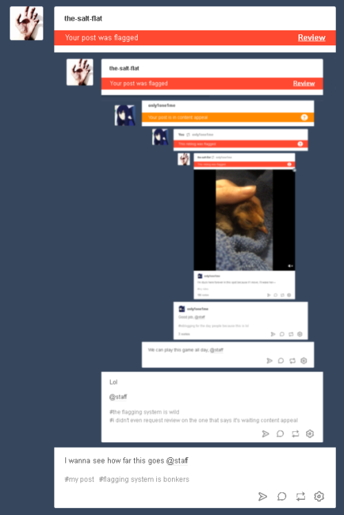 the-salt-flat:Still going. @staff