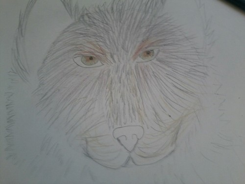 I think I did really good on the eyes, but I’m lost in how to do the fur…