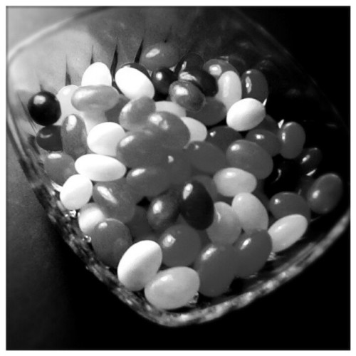 Jelly Beans ♥ 캔디젤리러브~