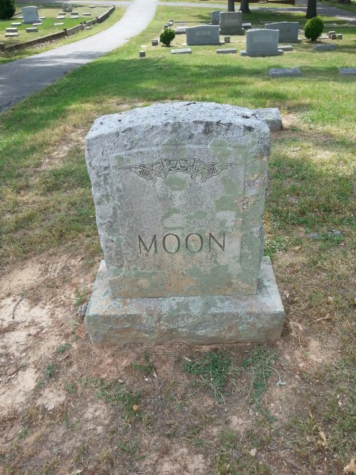 pastoriagym: omgtsn:  who killed the fucking moon