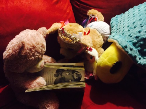 shanedog09:A stuffie reading to other stuffies. iamapaperuniverse My stuffies are the cutest!!!