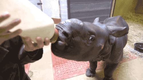 gifini:  For other gifs http://gifini.tumblr.com/