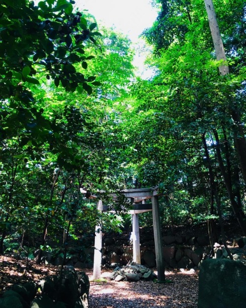 熱い京都。今まで参拝した神社で、たぶん一番名前が長い！(18文字！) #木嶋坐天照御魂神社 #このしまにますあまてるみたまじんじゃ #御祭神 #アメノミナカヌシ #ニギハヤヒ #京都 #熱い #気温3