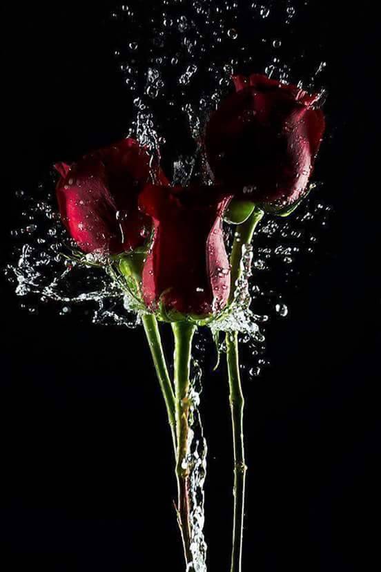 sugarissweetlove:  ♥♥♥