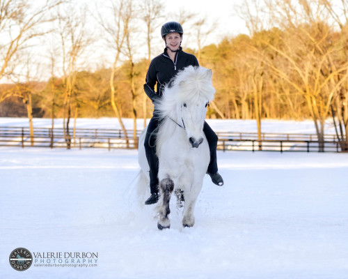 Antje Freygang and her Icelandic horses from Middleburg,  Virginia by V. Durbon(2) Being a profess