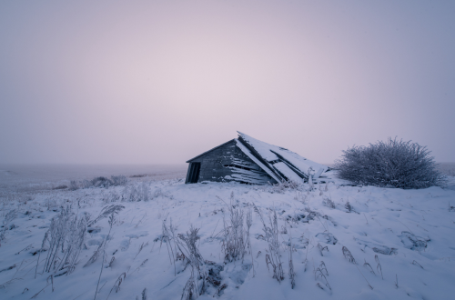 matvrity:  Collapsing II by Sandra Herber 