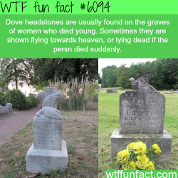 wtf-fun-factss:  The meaning behind gravestones