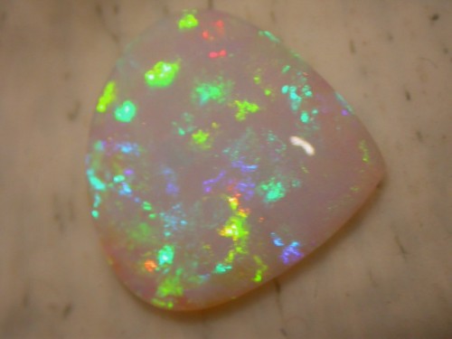 Opal Auctions